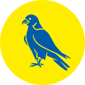 Bollington Falcons Football Team